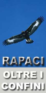 rapaci-oltre-i-confini-2013