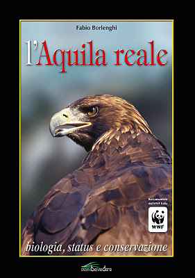 copertina_aquila_reale_borlenghi