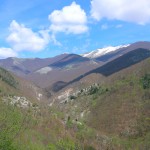 M. Ernici