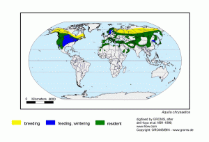 Distribuzione mondiale dell'Aquila reale