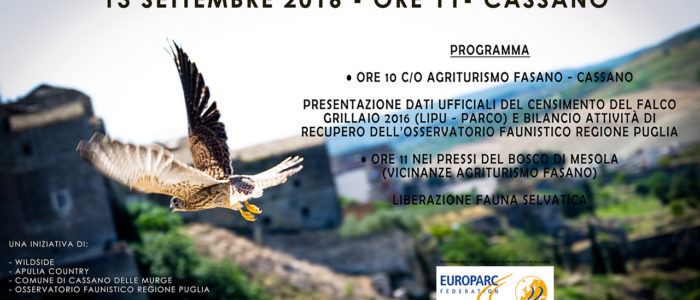 liberazione_grillai_cassano_murge