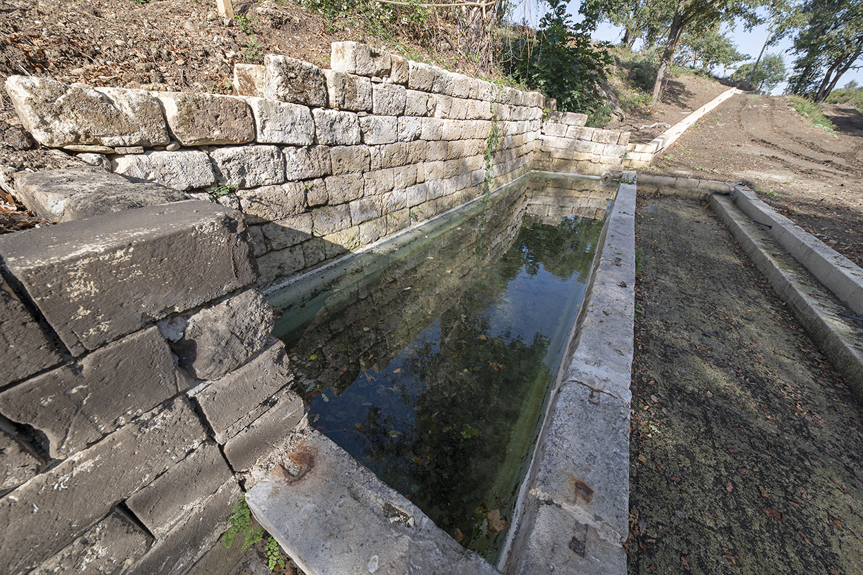 Alterazioni alla ZSC Bosco Difesa Grande in Puglia ALTURA